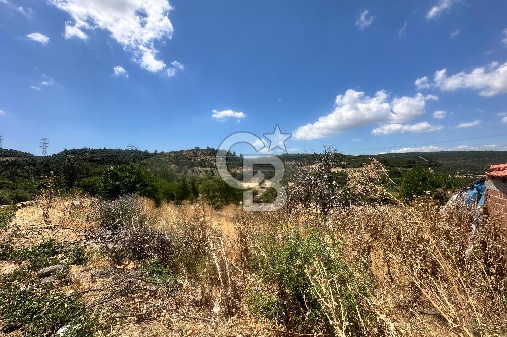 İzmir Kınık Musacalı 300m2 Köyiçiİmarlı Arsa 