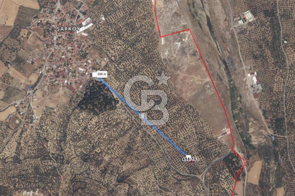 BALIKESİR;BURHANİYE,ŞARKÖY DE YOLU OLAN SATILIK ZEYTİNLİK