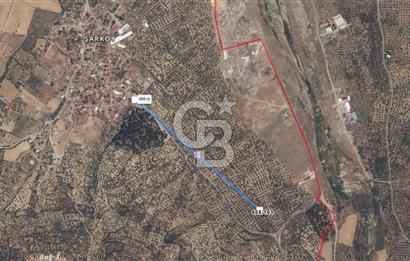 BALIKESİR;BURHANİYE,ŞARKÖY DE YOLU OLAN SATILIK ZEYTİNLİK