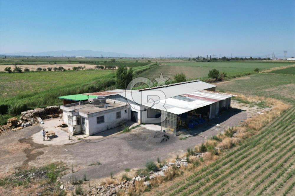 İzmir Menemen Kesik Satılık Tarla 14800 M2 İçinde 500 M2 Yapı