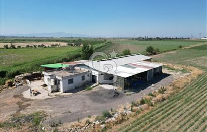 İzmir Menemen Kesik Satılık Tarla 14800 M2 İçinde 500 M2 Yapı
