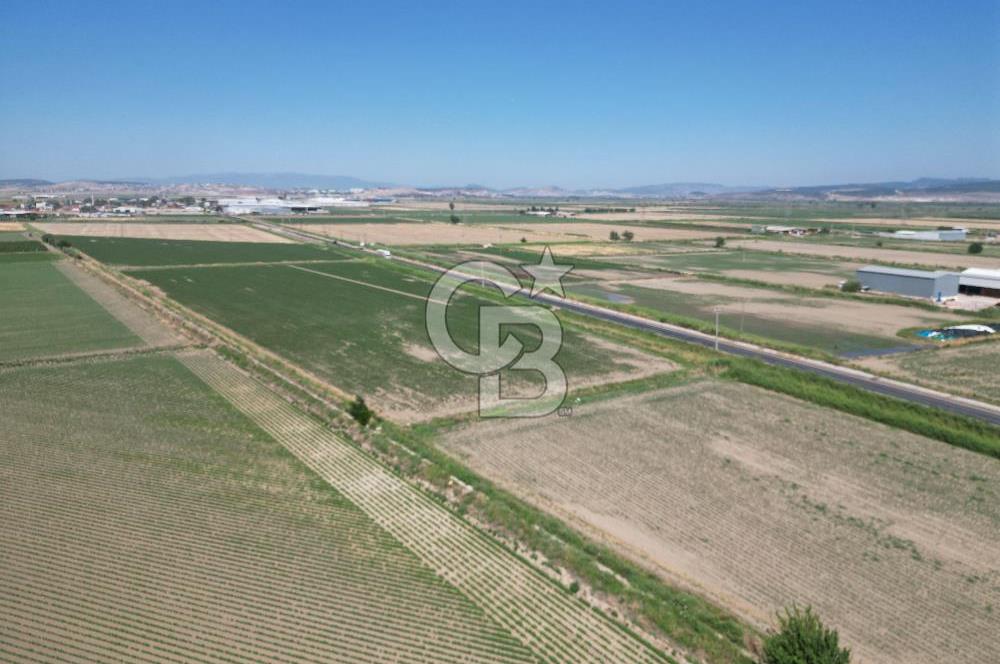 İzmir Menemen Kesik Satılık Tarla 14800 M2 İçinde 500 M2 Yapı