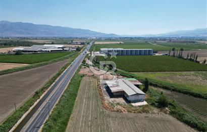 İzmir Menemen Kesik Satılık Tarla 14800 M2 İçinde 500 M2 Yapı