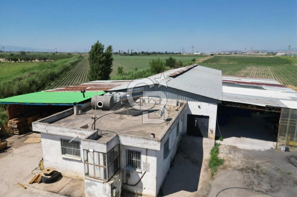 İzmir Menemen Kesik Satılık Tarla 14800 M2 İçinde 500 M2 Yapı