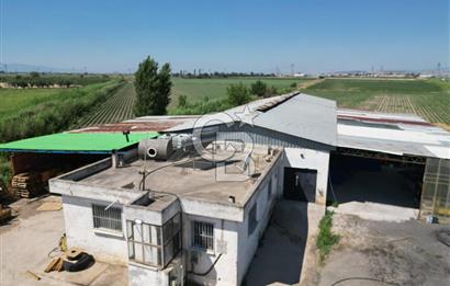 İzmir Menemen Kesik Satılık Tarla 14800 M2 İçinde 500 M2 Yapı