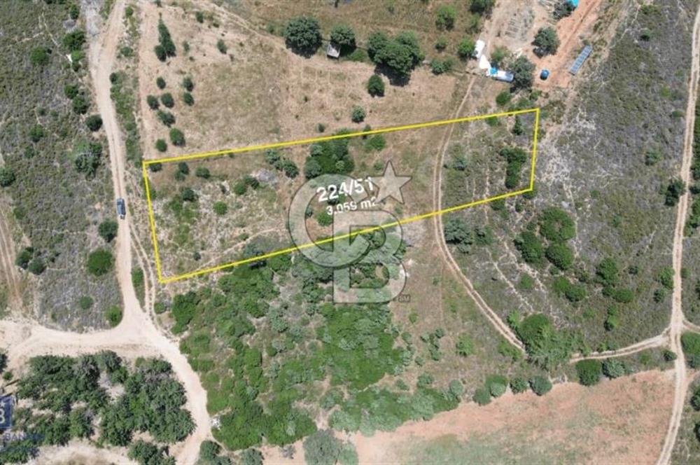 DATÇA MAHALLESİNDE KUMLUK PLAJINA ARAÇLA 10DK TARLA FIRSATI