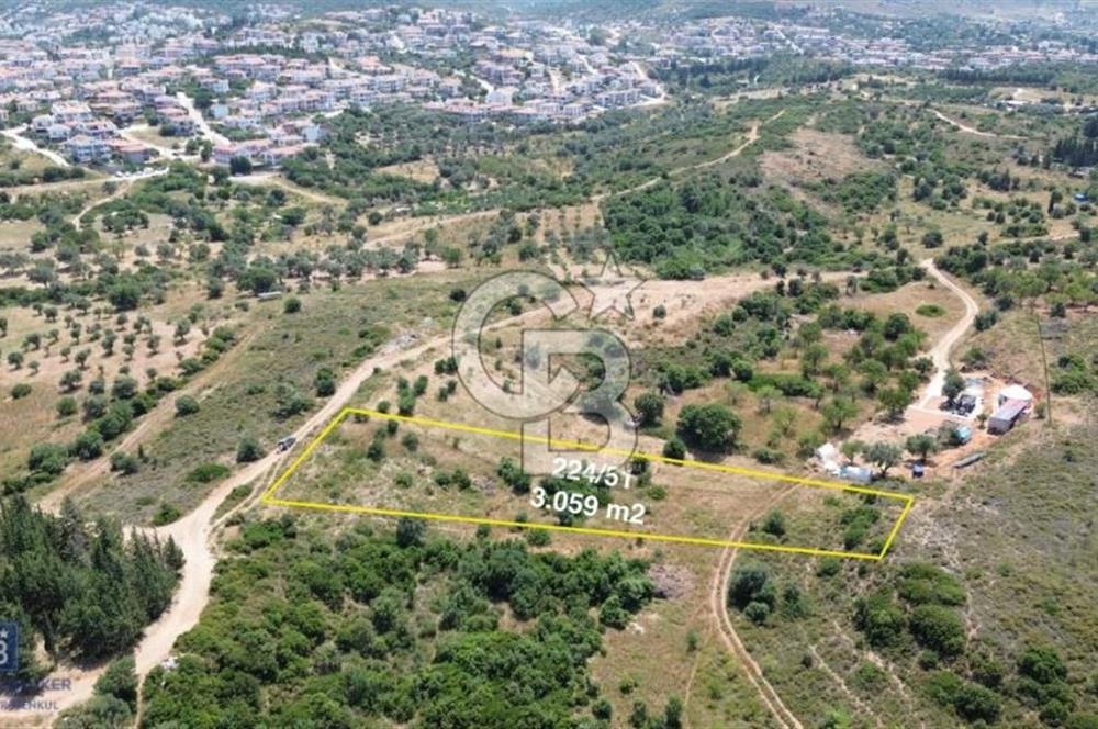 DATÇA MAHALLESİNDE KUMLUK PLAJINA ARAÇLA 10DK TARLA FIRSATI