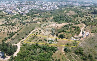 DATÇA MAHALLESİNDE KUMLUK PLAJINA ARAÇLA 10DK TARLA FIRSATI
