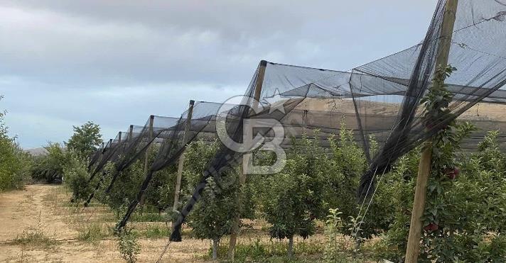 YAHYALI YULARIDA SATILIK BAHÇE 