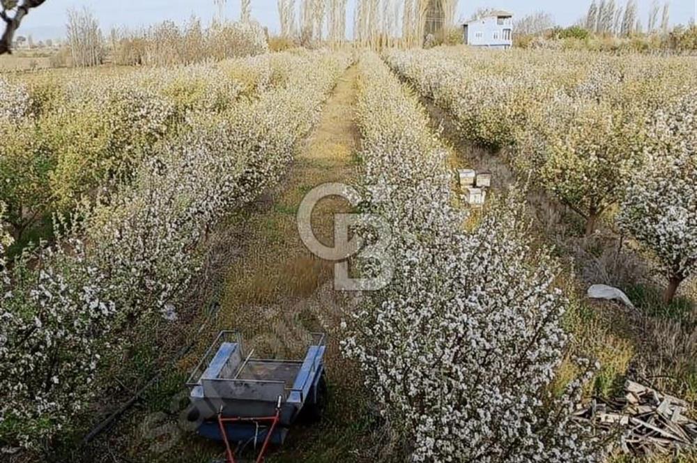 SATILIK BAHÇE DEVELİ GAZİ MAHALLESİNDE 