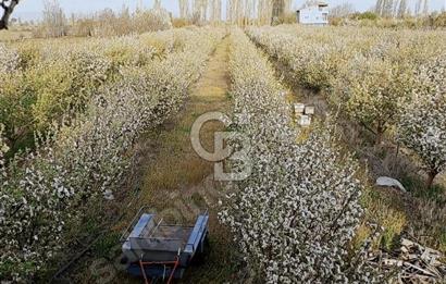 SATILIK BAHÇE DEVELİ GAZİ MAHALLESİNDE 