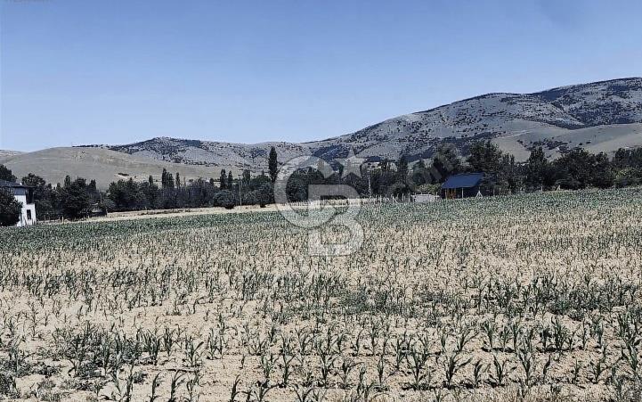 YAHYALI FETULLAH MAHALLESİNDE SATILIK BAHÇE 