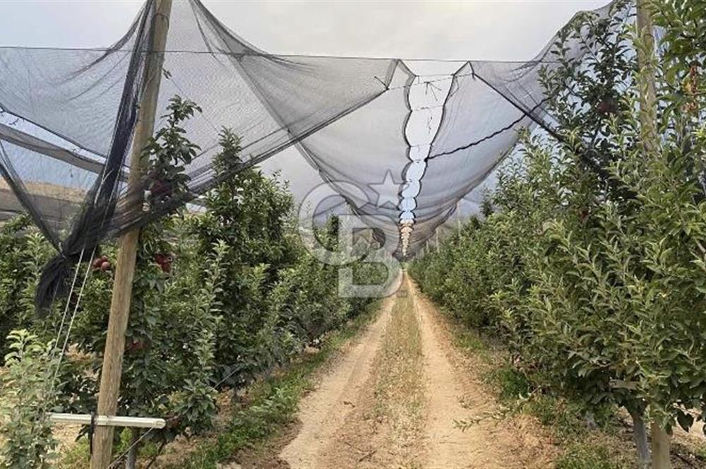 YAHYALI YULARIDA SATILIK BAHÇE 