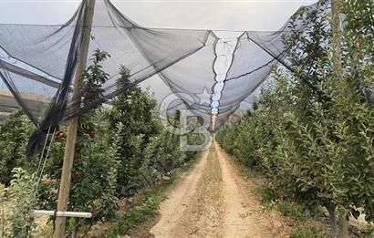 YAHYALI YULARIDA SATILIK BAHÇE 