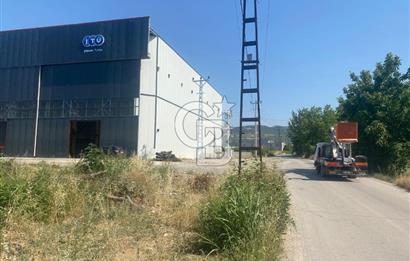 YALOVA ALTINOVA HERSEK TERSANELER BÖLGESİ KİRALIK HANGAR DEPO !!
