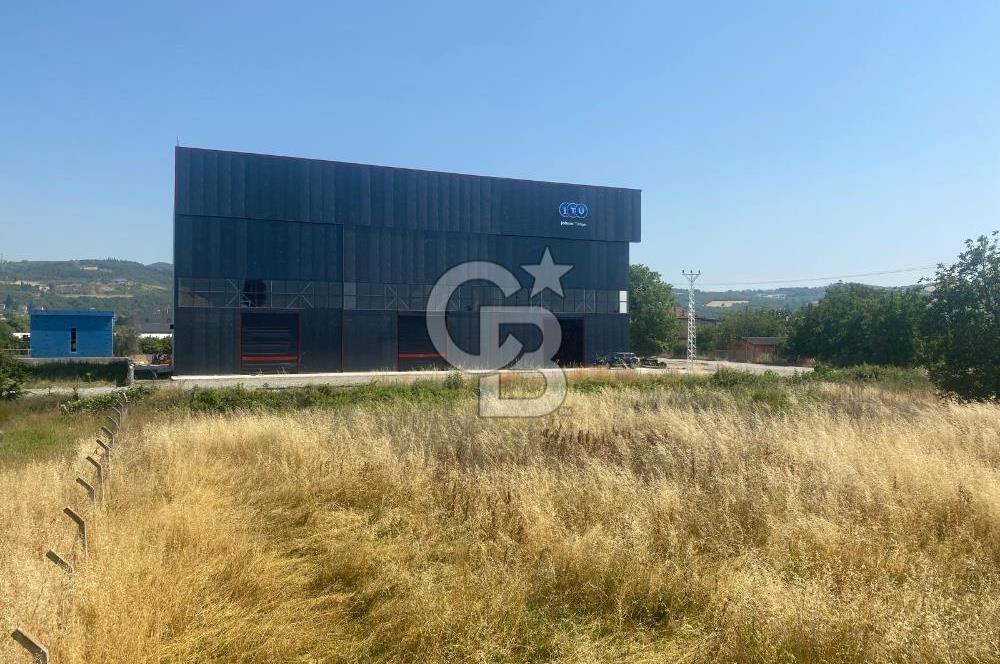 YALOVA ALTINOVA HERSEK TERSANELER BÖLGESİ KİRALIK HANGAR DEPO !!