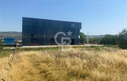 YALOVA ALTINOVA HERSEK TERSANELER BÖLGESİ KİRALIK HANGAR DEPO !!