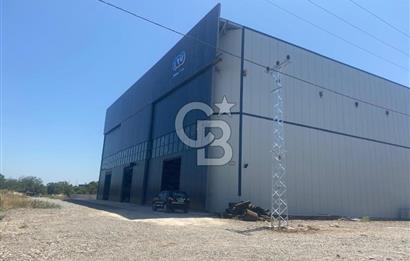 YALOVA ALTINOVA HERSEK TERSANELER BÖLGESİ KİRALIK HANGAR DEPO !!