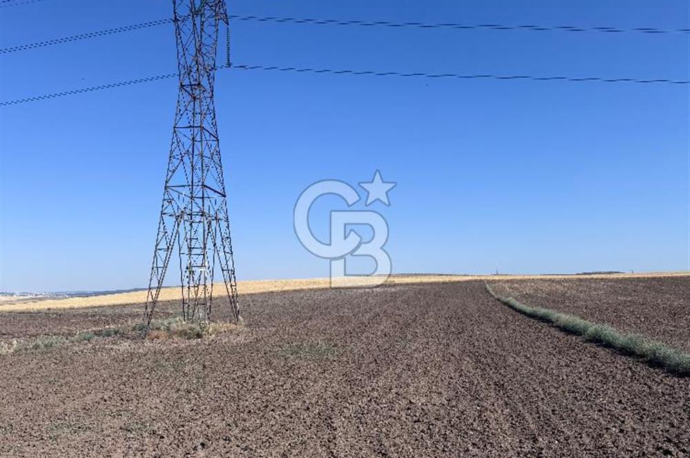 CB CITY’Den ESKİŞEHİR BATIKENT’TE SATILIK TARLA