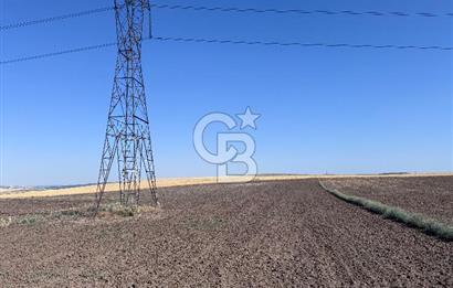CB CITY’Den ESKİŞEHİR BATIKENT’TE SATILIK TARLA