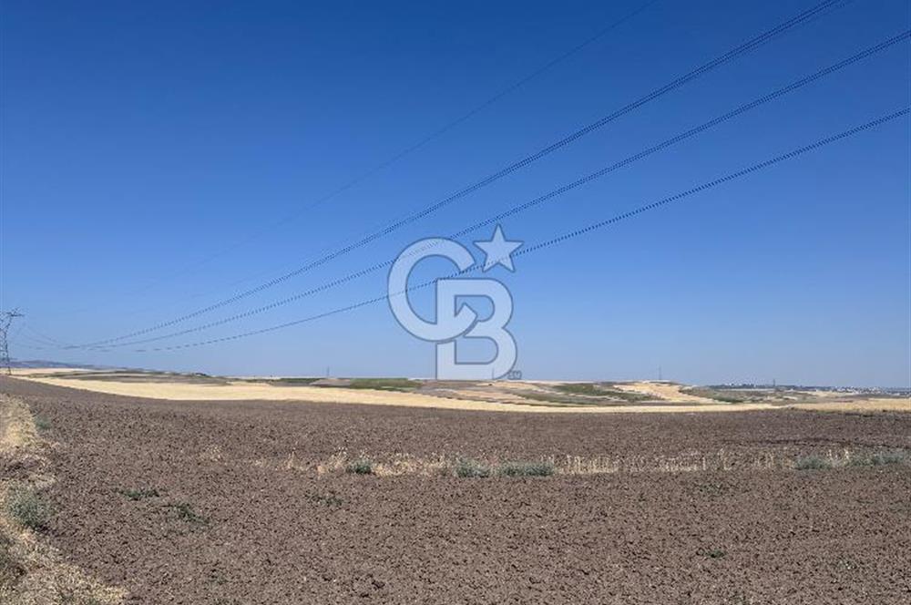 CB CITY’Den ESKİŞEHİR BATIKENT’TE SATILIK TARLA