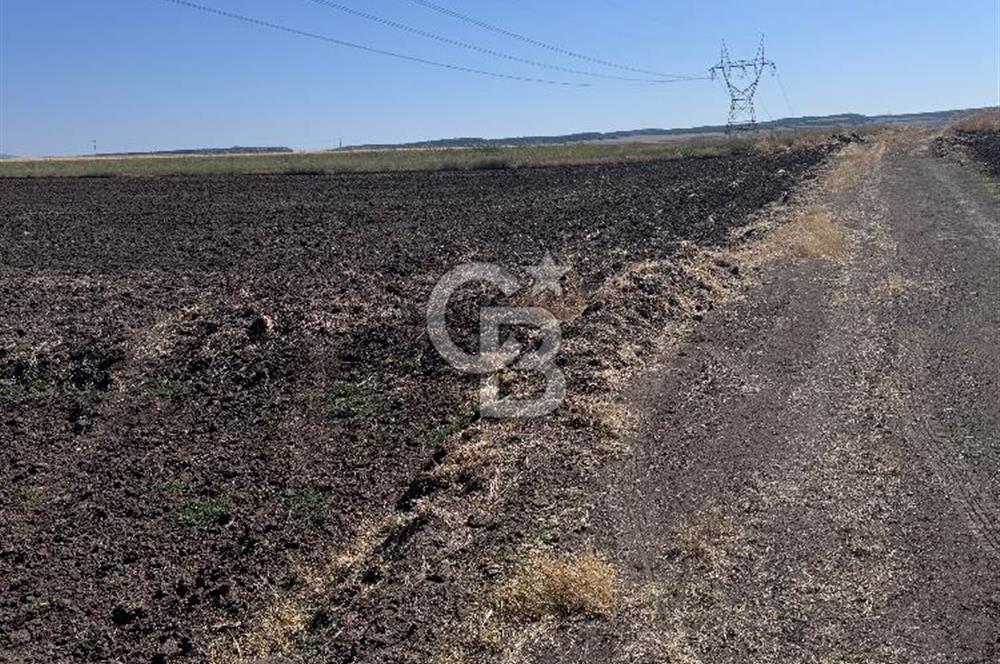 CB CITY’Den ESKİŞEHİR BATIKENT’TE SATILIK TARLA