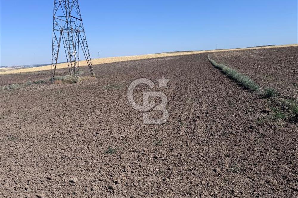 CB CITY’Den ESKİŞEHİR BATIKENT’TE SATILIK TARLA