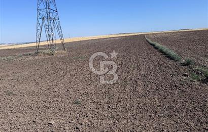 CB CITY’Den ESKİŞEHİR BATIKENT’TE SATILIK TARLA