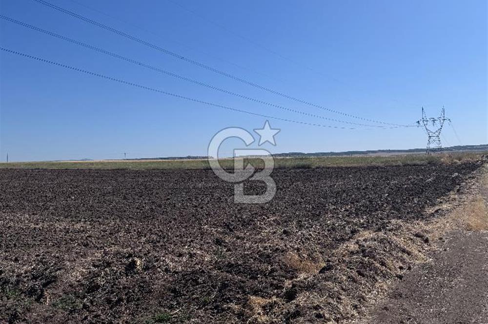 CB CITY’Den ESKİŞEHİR BATIKENT’TE SATILIK TARLA