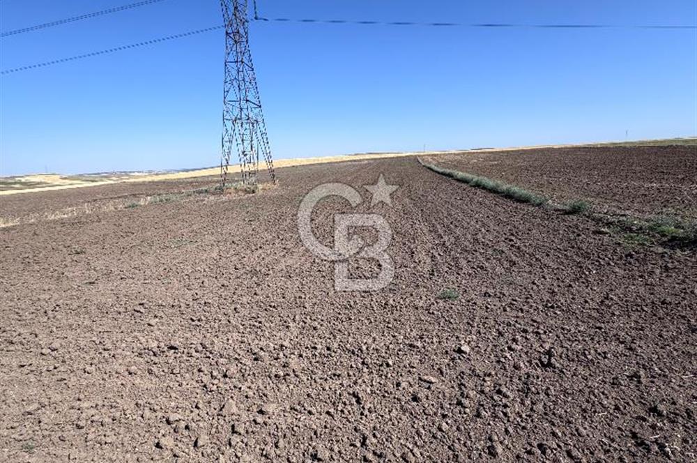 CB CITY’Den ESKİŞEHİR BATIKENT’TE SATILIK TARLA