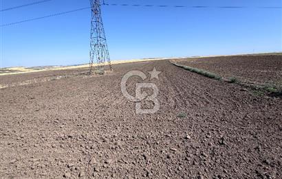 CB CITY’Den ESKİŞEHİR BATIKENT’TE SATILIK TARLA
