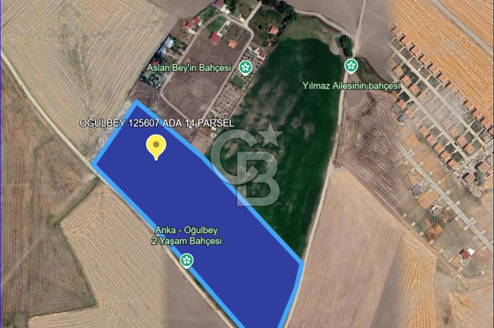 Gölbaşı Oğulbey'de Satılık 400 m² Hobi Bahçesi + 2+1 Konut