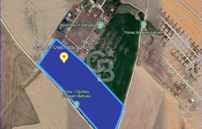Gölbaşı Oğulbey'de Satılık 400 m² Hobi Bahçesi + 2+1 Konut