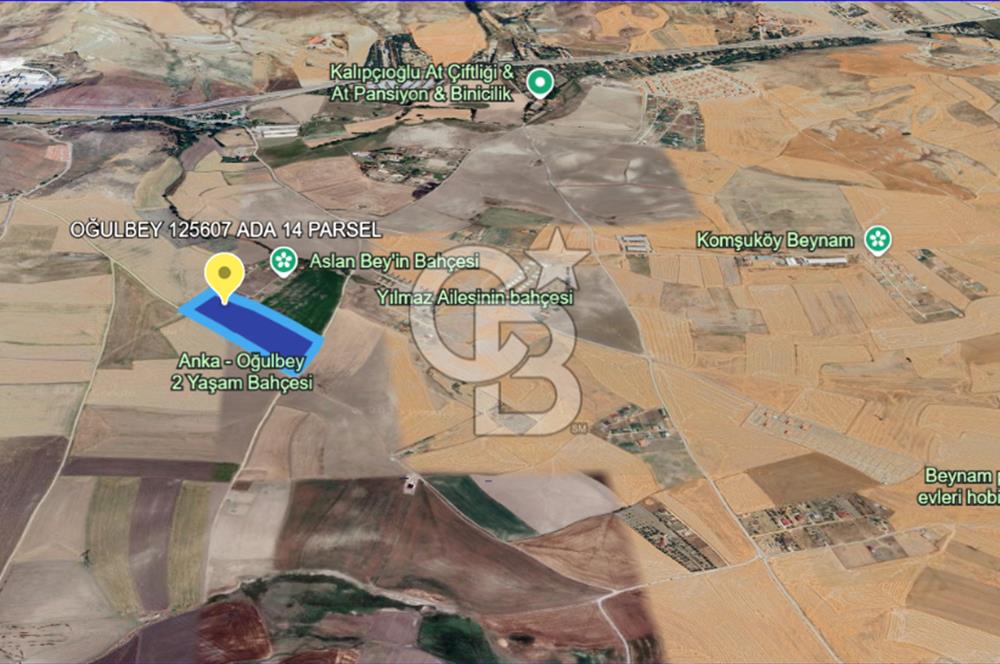 Gölbaşı Oğulbey'de Satılık 400 m² Hobi Bahçesi + 2+1 Konut