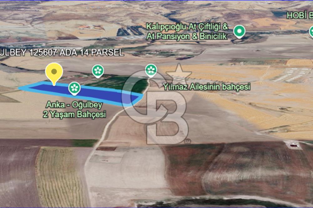 Gölbaşı Oğulbey'de Satılık 400 m² Hobi Bahçesi + 2+1 Konut