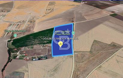 Gölbaşı Oğulbey'de Satılık 400 m² Hobi Bahçesi + 2+1 Konut