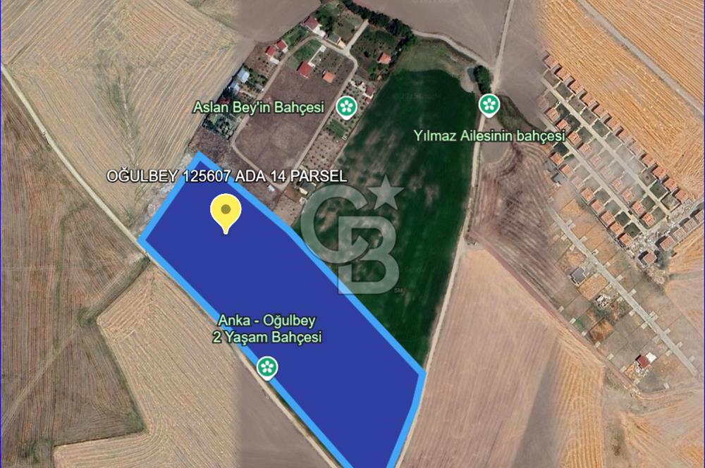 Gölbaşı Oğulbey'de Satılık 400 m² Hobi Bahçesi + 2+1 Konut