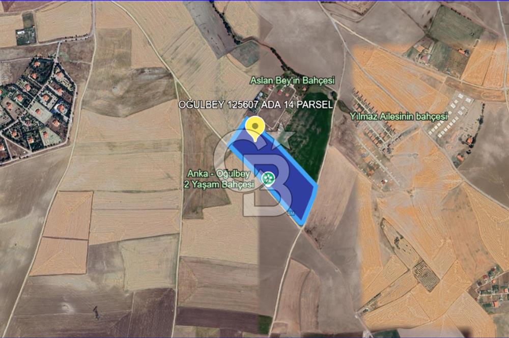 Gölbaşı Oğulbey'de Satılık 400 m² Hobi Bahçesi + 2+1 Konut