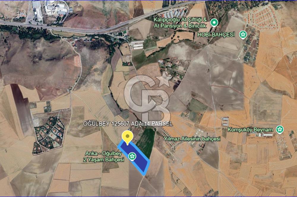 Gölbaşı Oğulbey'de Satılık 400 m² Hobi Bahçesi + 2+1 Konut