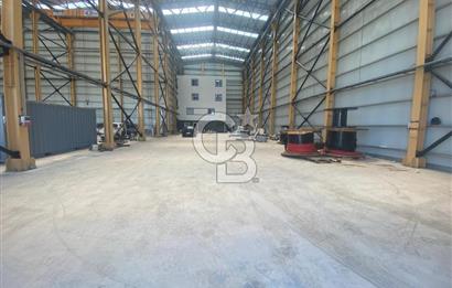 YALOVA ALTINOVA HERSEK TERSANELER BÖLGESİ KİRALIK HANGAR DEPO !!