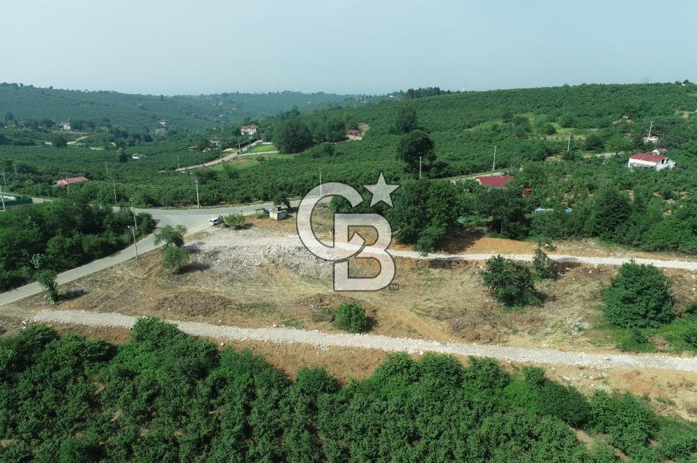 SAKARYA KOCAALİ'DE RUHSATLARI ALINMIŞ HEMEN İNŞAAT YAPILABİLİR ARAÇ TAKAS İMKANI İLE 12 PARSEL ARSA