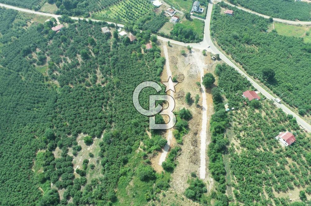 SAKARYA KOCAALİ'DE RUHSATLARI ALINMIŞ HEMEN İNŞAAT YAPILABİLİR ARAÇ TAKAS İMKANI İLE 12 PARSEL ARSA