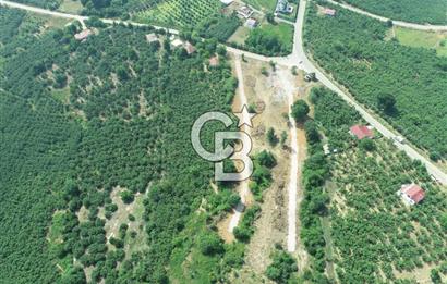 SAKARYA KOCAALİ'DE RUHSATLARI ALINMIŞ HEMEN İNŞAAT YAPILABİLİR ARAÇ TAKAS İMKANI İLE 12 PARSEL ARSA