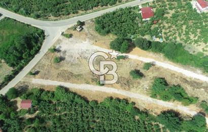 SAKARYA KOCAALİ'DE RUHSATLARI ALINMIŞ HEMEN İNŞAAT YAPILABİLİR ARAÇ TAKAS İMKANI İLE 12 PARSEL ARSA