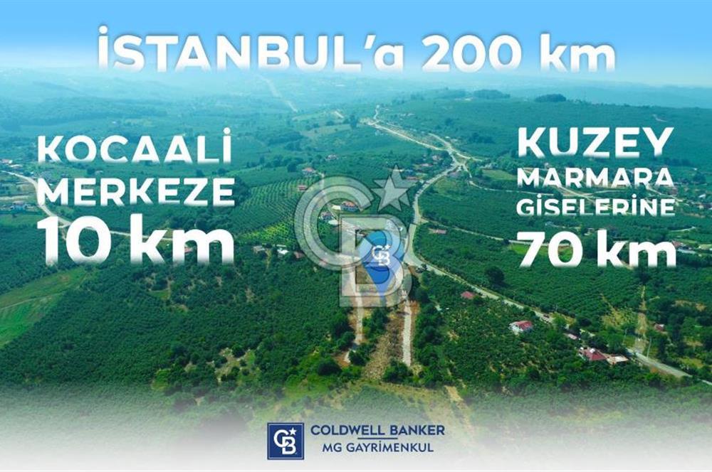 SAKARYA KOCAALİ'DE RUHSATLARI ALINMIŞ HEMEN İNŞAAT YAPILABİLİR ARAÇ TAKAS İMKANI İLE 12 PARSEL ARSA