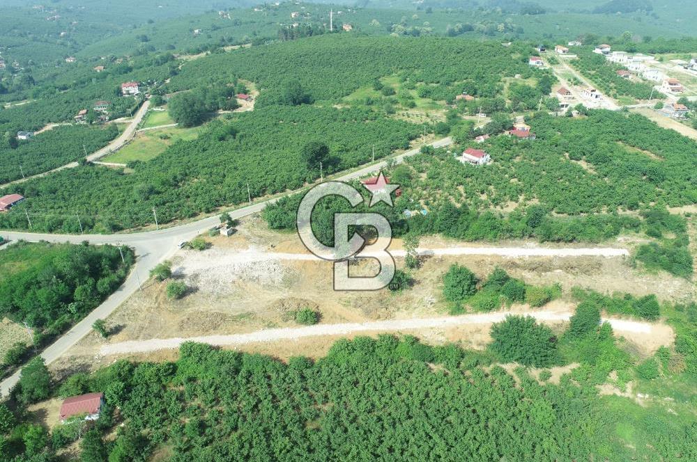 SAKARYA KOCAALİ'DE RUHSATLARI ALINMIŞ HEMEN İNŞAAT YAPILABİLİR ARAÇ TAKAS İMKANI İLE 12 PARSEL ARSA