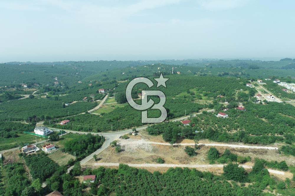 SAKARYA KOCAALİ'DE RUHSATLARI ALINMIŞ HEMEN İNŞAAT YAPILABİLİR ARAÇ TAKAS İMKANI İLE 12 PARSEL ARSA