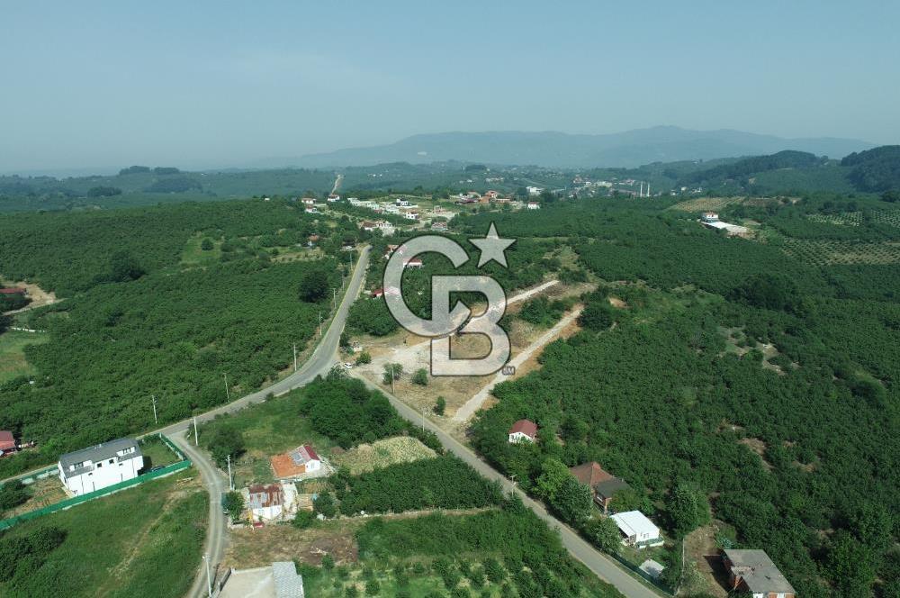 SAKARYA KOCAALİ'DE RUHSATLARI ALINMIŞ HEMEN İNŞAAT YAPILABİLİR ARAÇ TAKAS İMKANI İLE 12 PARSEL ARSA