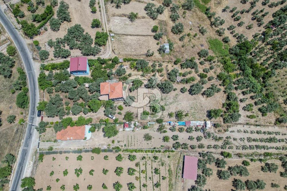 Buca Doğancılar'da Müstakil Villalı Zeytinlik