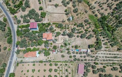 Buca Doğancılar'da Müstakil Villalı Zeytinlik